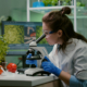 bacterias