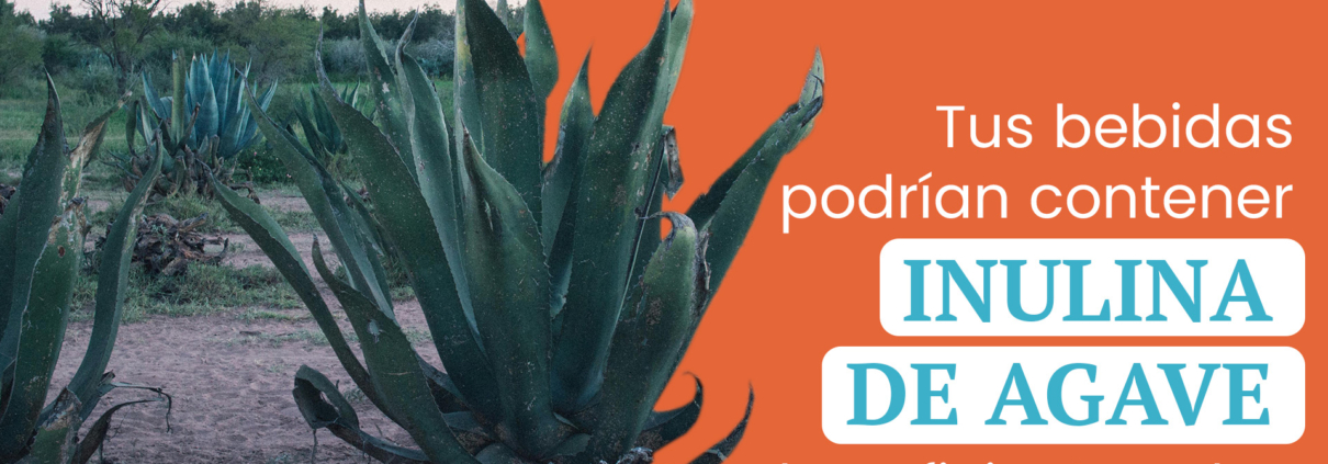 inulinadeagave