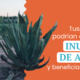 inulinadeagave