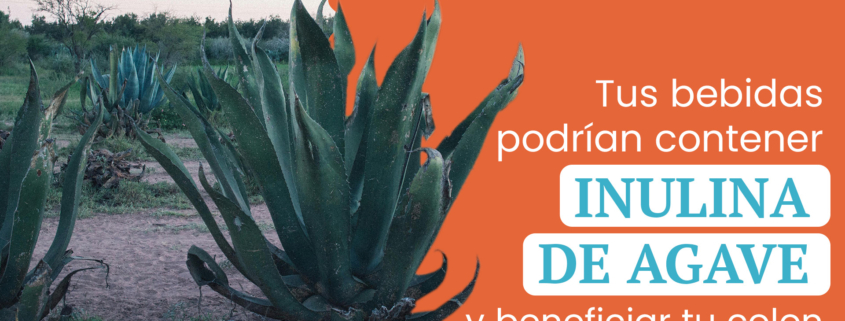 inulinadeagave