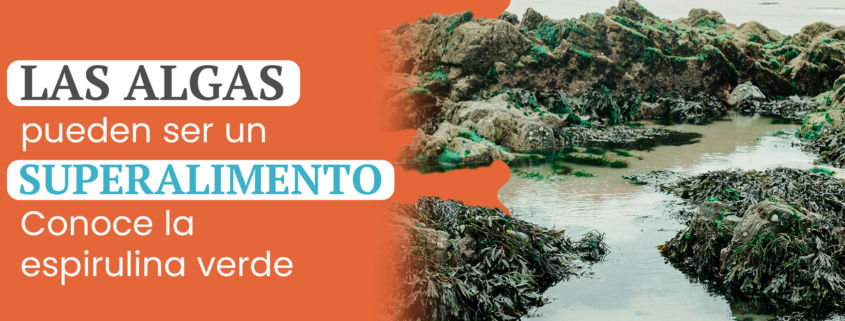 espirulina verde